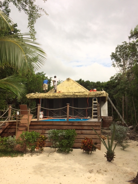 Tiamo Resort(palm thatch).jpg